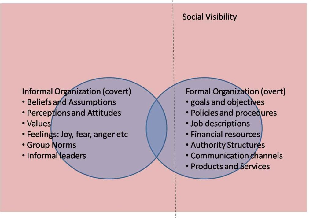 Formal Organization and Informal Organization