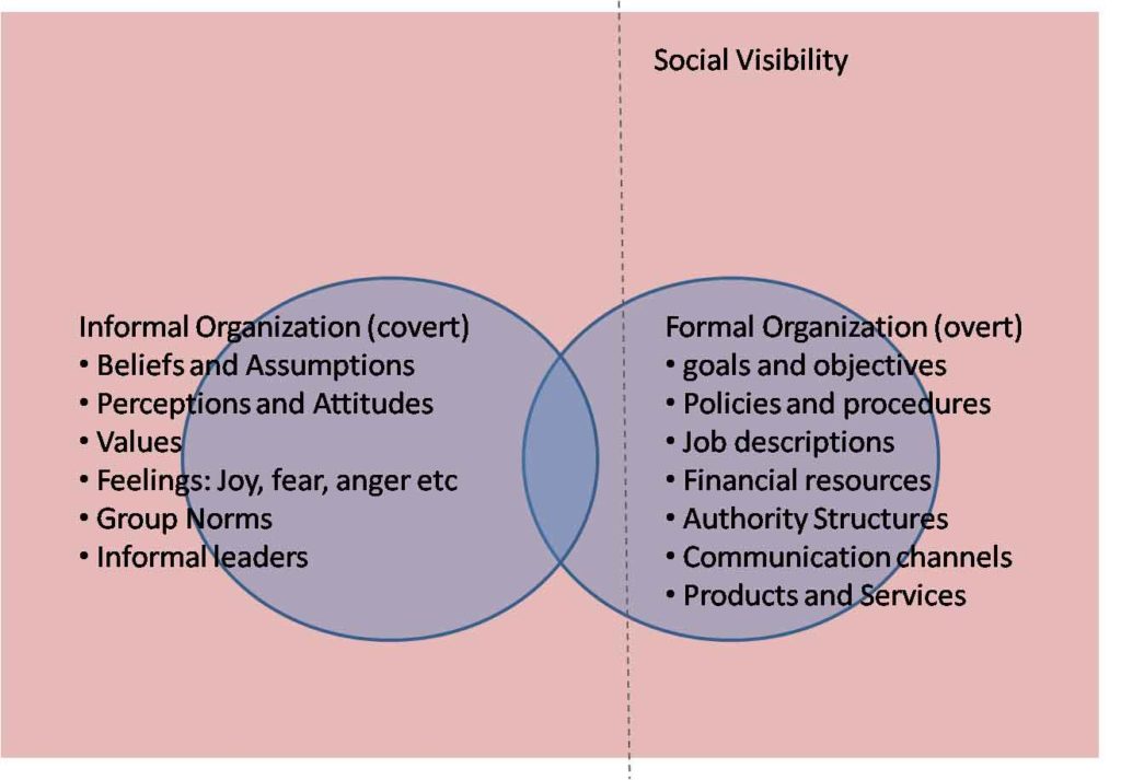 Difference Between Formal and Informal Organization