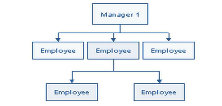 Tall or Narrow Span of Control