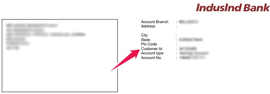 Sample Bank Account Statement Showing IndusInd Bank Customer ID